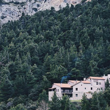 Guesthouse Vasiliki Steni Dhirfios Zewnętrze zdjęcie